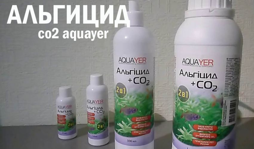 Настоящий альгицид со2 aquayer купить в Москве